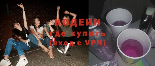индика Кулебаки