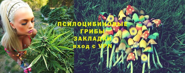 МДМА Куйбышев