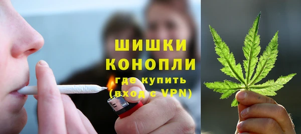 индика Кулебаки