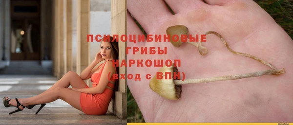 МДМА Куйбышев