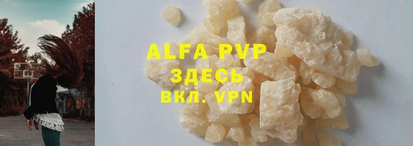 индика Кулебаки