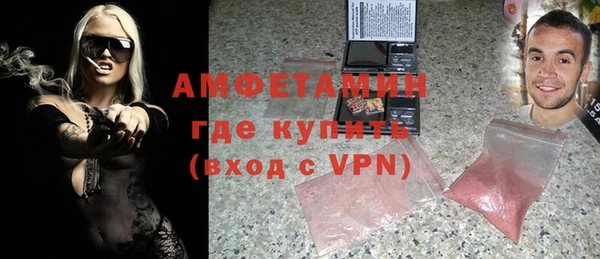 индика Кулебаки