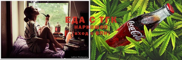 индика Кулебаки