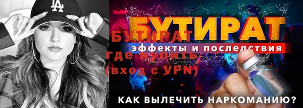 индика Кулебаки