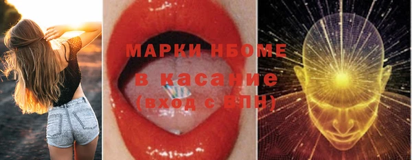 индика Кулебаки