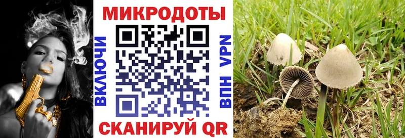 Галлюциногенные грибы MAGIC MUSHROOMS  Краснодар 